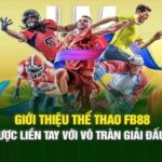 Giới thiệu về sảnh cá cược thể thao Fb88