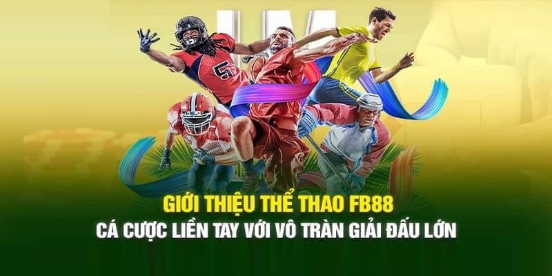 Giới thiệu về sảnh cá cược thể thao Fb88