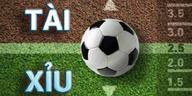 Kèo tài xỉu và những yếu tố cần lưu ý