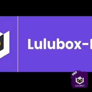 Lulubox Carrom